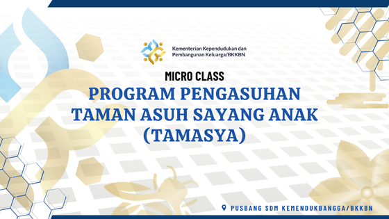 Program Pengasuhan Taman Asuh Sayang Anak